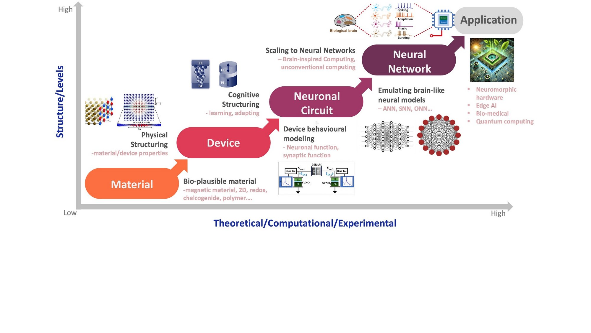 Pathway diagram illustrating how novel materials and devices enable brain-inspired computing, connecting material design to neuronal circuits, neural networks, and energy-efficient applications.