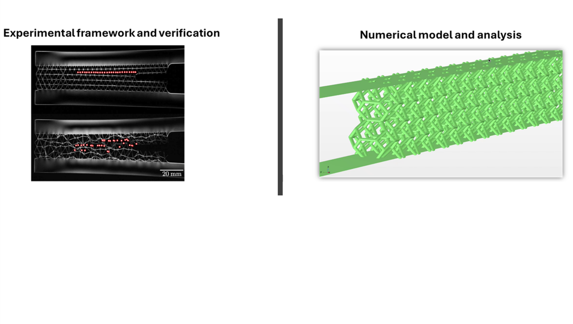 Images showing experimental testing of architected lattice structures and a green-colored numerical model used for mechanical analysis.