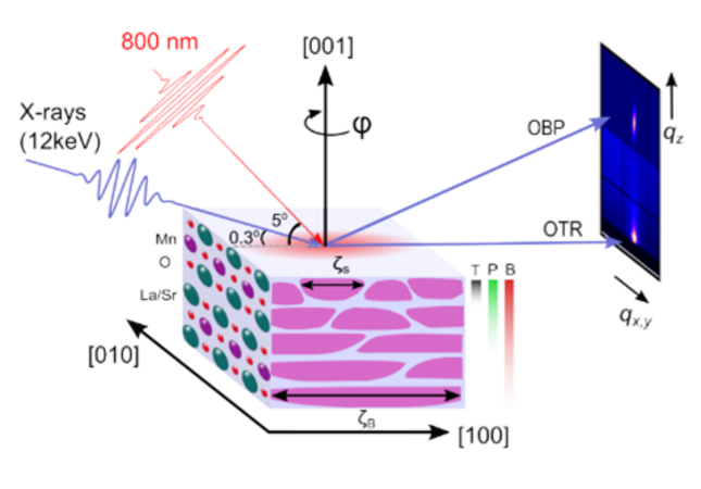 Schematic of the experimental setup showing the excitation mechanism and two variations of detection to observe the surface or bulk response of a quantum material.
