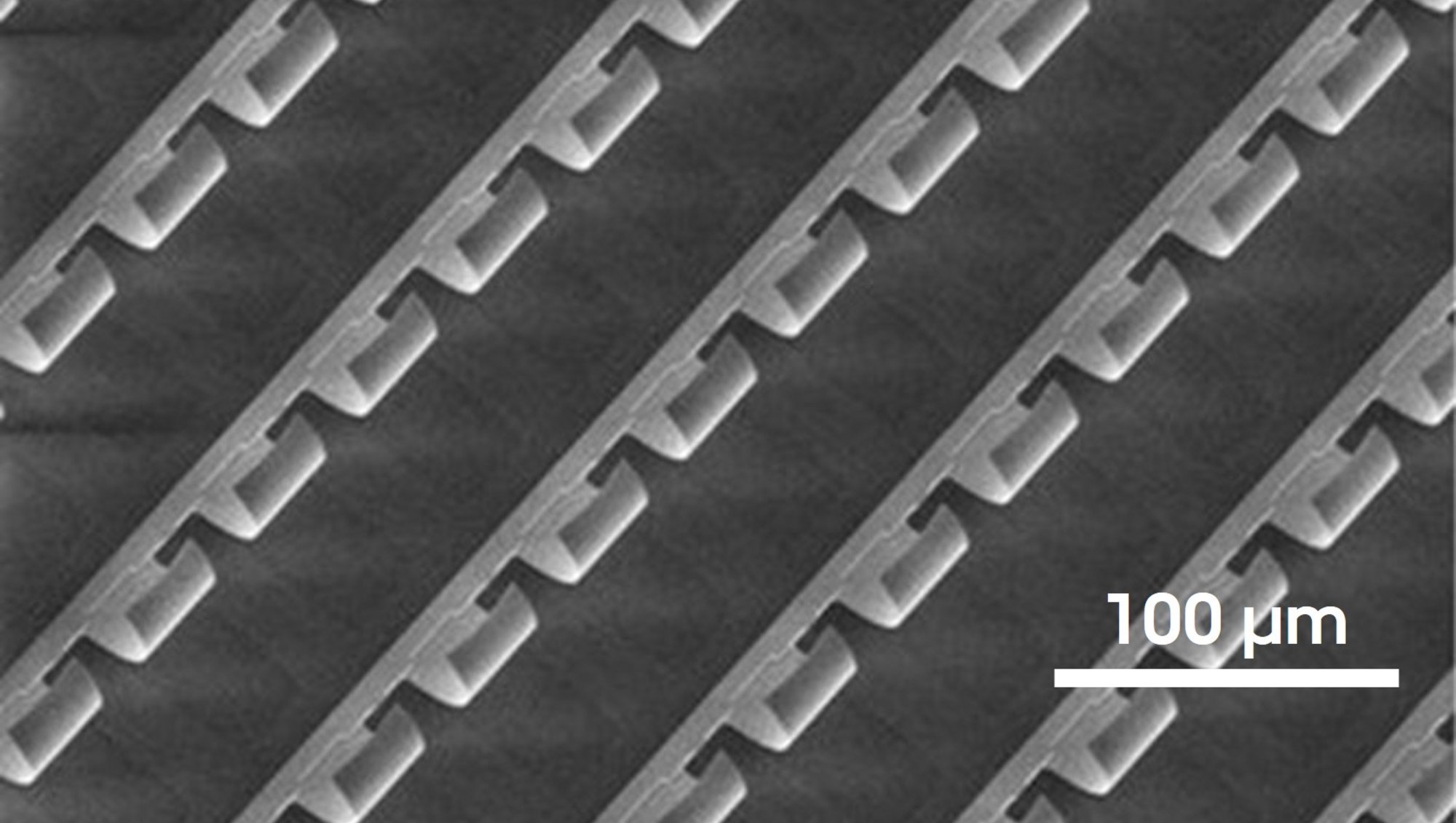 Scanning electron microscope image of a MEMS cantilever array with repeating structural patterns, viewed at an angle and scaled at 100 micrometers.