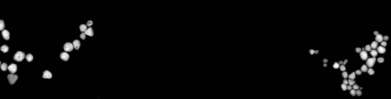 Electron microscopy image showing clusters of silver nanoparticles against a black background, used to illustrate research on stable silver nanoparticles without surfactants.